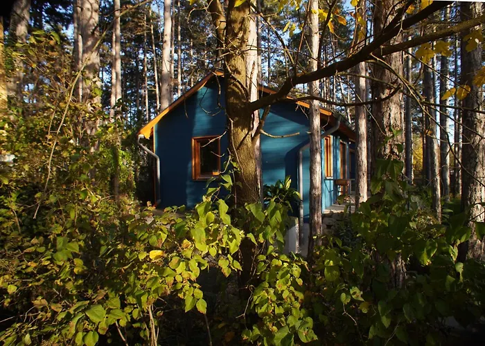 Surányi Kék * Pócsmegyer